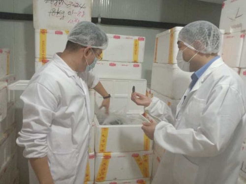 城陽區緊急開展海參加工企業專項檢查，全面排查315晚會曝光問題